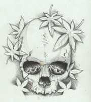 Free download Cannabis plant leaves around a skull free photo or picture to be edited with GIMP online image editor