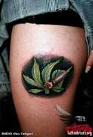 Free download Cannabis tattoo - image with TattooArtists.org watermark free photo or picture to be edited with GIMP online image editor