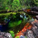 Caño Cristales River  screen for extension Chrome web store in OffiDocs Chromium