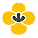 Canola toolkit  screen for extension Chrome web store in OffiDocs Chromium