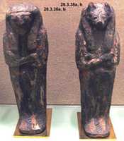 Free download Canopic Coffin in the form of Qebehsenuef free photo or picture to be edited with GIMP online image editor