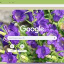 Canterbury Bells  screen for extension Chrome web store in OffiDocs Chromium