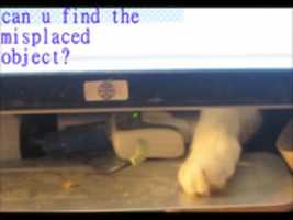 Free download can_you_find_the_misplaced_object free photo or picture to be edited with GIMP online image editor