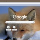 Cao  screen for extension Chrome web store in OffiDocs Chromium