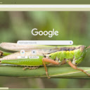 Cao cao  screen for extension Chrome web store in OffiDocs Chromium