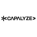 Capalyze AI powered Web Scraping and Analysis  screen for extension Chrome web store in OffiDocs Chromium