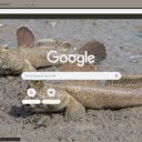 Ca phong  screen for extension Chrome web store in OffiDocs Chromium