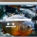 Ca Piranha  screen for extension Chrome web store in OffiDocs Chromium