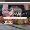 Capuchin Monkey  screen for extension Chrome web store in OffiDocs Chromium