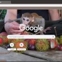 Capuchin Monkey  screen for extension Chrome web store in OffiDocs Chromium