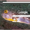 Ca Puffer  screen for extension Chrome web store in OffiDocs Chromium