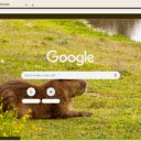 Capybara  screen for extension Chrome web store in OffiDocs Chromium