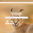 Caracal  screen for extension Chrome web store in OffiDocs Chromium