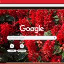 Cardinal Flower  screen for extension Chrome web store in OffiDocs Chromium