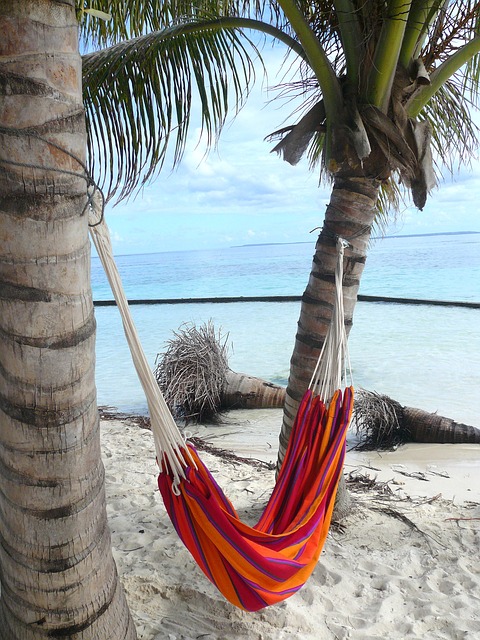 免费下载加勒比乔岛吊床海免费图片以使用 GIMP 免费在线图像编辑器进行编辑