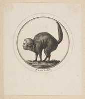 Free download Caricature Showing the Comte de Provence as a Cat free photo or picture to be edited with GIMP online image editor