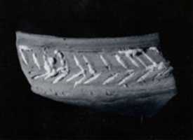 Free download Carinated bowl rim sherd free photo or picture to be edited with GIMP online image editor