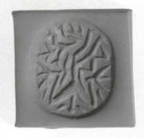 Free download Carinated hemispheroid seal free photo or picture to be edited with GIMP online image editor