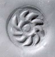 Free download Carinated lentoid seal free photo or picture to be edited with GIMP online image editor