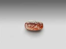 Free download Carnelian scaraboid with back in form of lion free photo or picture to be edited with GIMP online image editor