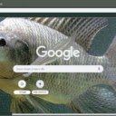 Ca ro  screen for extension Chrome web store in OffiDocs Chromium