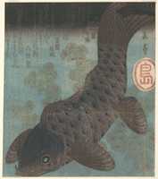 Free download Carp and Pine free photo or picture to be edited with GIMP online image editor