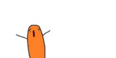 Free download carrot free photo or picture to be edited with GIMP online image editor