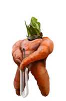 Free download Carrot King free photo or picture to be edited with GIMP online image editor