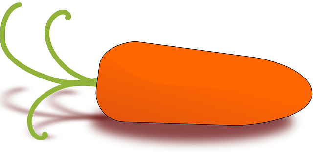 Tải xuống miễn phí Carrot Root Vegetable - Đồ họa vector miễn phí trên Pixabay