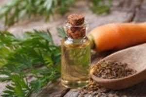 Free download carrot-seed-oil free photo or picture to be edited with GIMP online image editor
