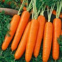 Carrot wallpaper  screen for extension Chrome web store in OffiDocs Chromium