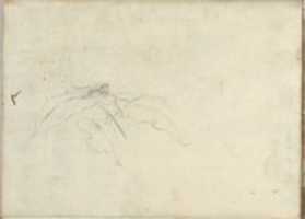 Free download Carved Panel and Border Ornament (recto); Sketches of Leaves (verso) (Smaller Italian Sketchbook, leaf 21) free photo or picture to be edited with GIMP online image editor