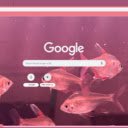 Ca Siam  screen for extension Chrome web store in OffiDocs Chromium