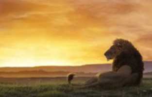 Free download Casino Lion free photo or picture to be edited with GIMP online image editor