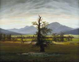 Free download Caspar David Friedrich, The only tree free photo or picture to be edited with GIMP online image editor