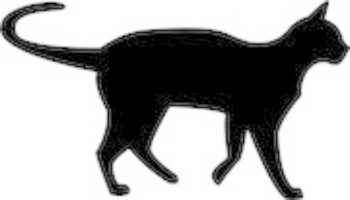 Free download cat-1185453__340 free photo or picture to be edited with GIMP online image editor