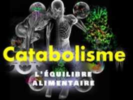 Free download catabolisme -SHORT VER-1 free photo or picture to be edited with GIMP online image editor