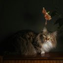 Cat admiring flowers  screen for extension Chrome web store in OffiDocs Chromium
