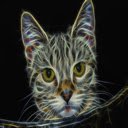 Cat Cat  screen for extension Chrome web store in OffiDocs Chromium