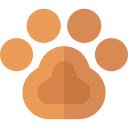 Cat detector  screen for extension Chrome web store in OffiDocs Chromium