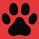Cat Facts  screen for extension Chrome web store in OffiDocs Chromium