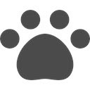CatGPT  screen for extension Chrome web store in OffiDocs Chromium
