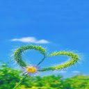 Cat grass wallpaper  screen for extension Chrome web store in OffiDocs Chromium