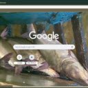 Ca thieu  screen for extension Chrome web store in OffiDocs Chromium