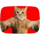 Catify  screen for extension Chrome web store in OffiDocs Chromium