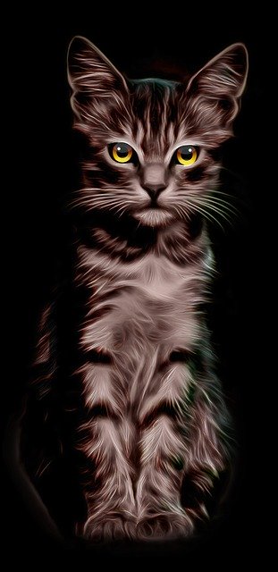 دانلود رایگان تصویر Cat Illustration Yellow Eyes رایگان برای ویرایش با ویرایشگر تصویر آنلاین GIMP