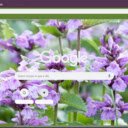 Catmint  screen for extension Chrome web store in OffiDocs Chromium