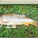 Ca tram  screen for extension Chrome web store in OffiDocs Chromium