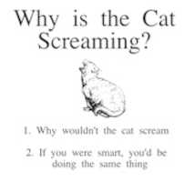 Free download cat screaming free photo or picture to be edited with GIMP online image editor