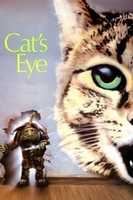 Gratis download Cats Eye gratis foto of afbeelding om te bewerken met GIMP online afbeeldingseditor